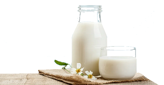 Сливки и молоко-содержащие продукты